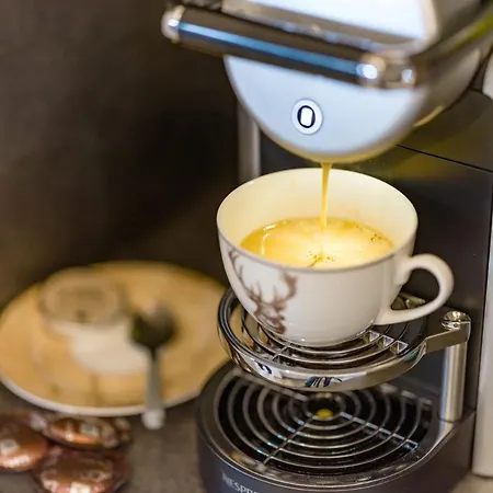 Ledermaier Loft & Lodge's Eu *